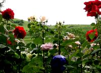 2017_06_Blick_Terrasse_auf-Badberg